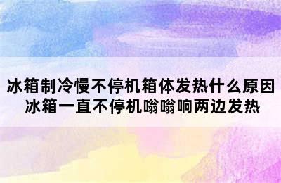 冰箱制冷慢不停机箱体发热什么原因 冰箱一直不停机嗡嗡响两边发热